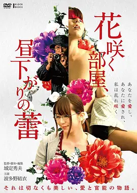 免费在线电影热搜第一 雾港来信